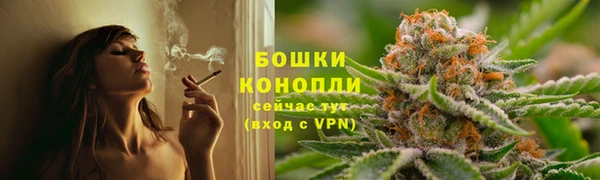 прущие крисы Белокуриха