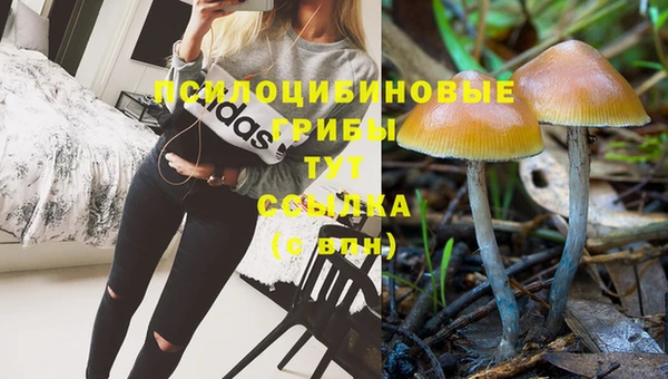 а пвп мука Белоозёрский