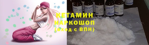 шишки Беломорск