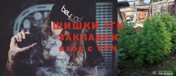 шишки Беломорск