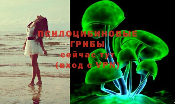шишки Беломорск
