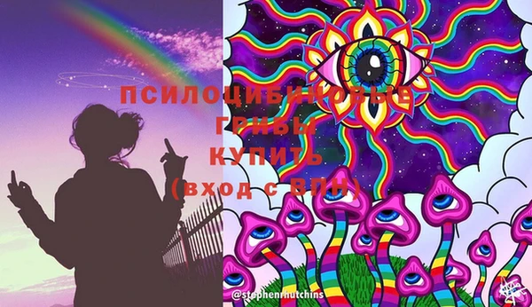 прущие крисы Белокуриха