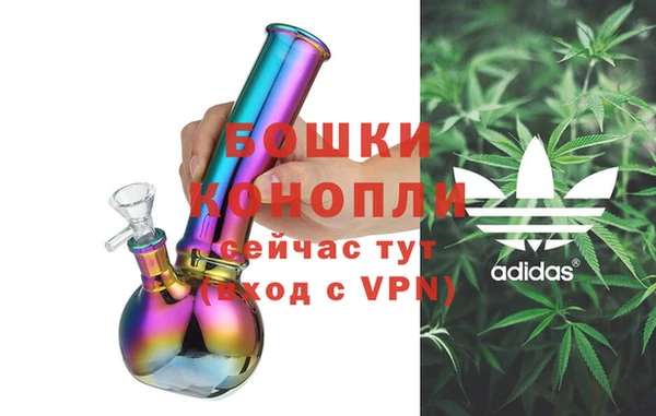 шишки Беломорск