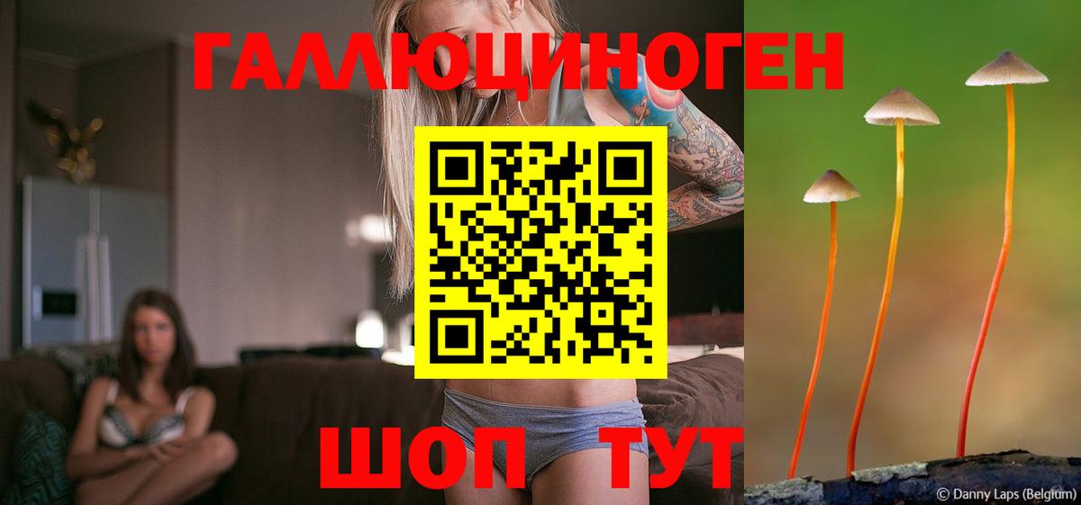 цена   Галлюциногенные грибы Magic Shrooms  Псилоцибиновые грибы MAGIC MUSHROOMS  Вход с VPN  Верхний Уфалей 